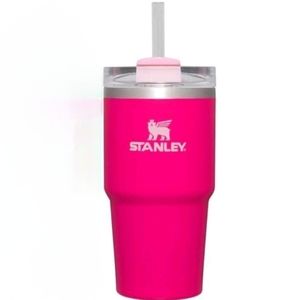 Stanley 20oz Stainless Steel H2.0 Flowstate Quencher Tumbler